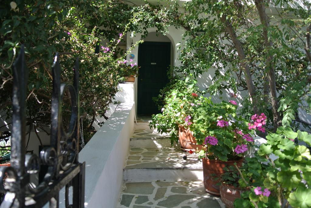 Meltemi Aparthotel Batsi  Exterior photo